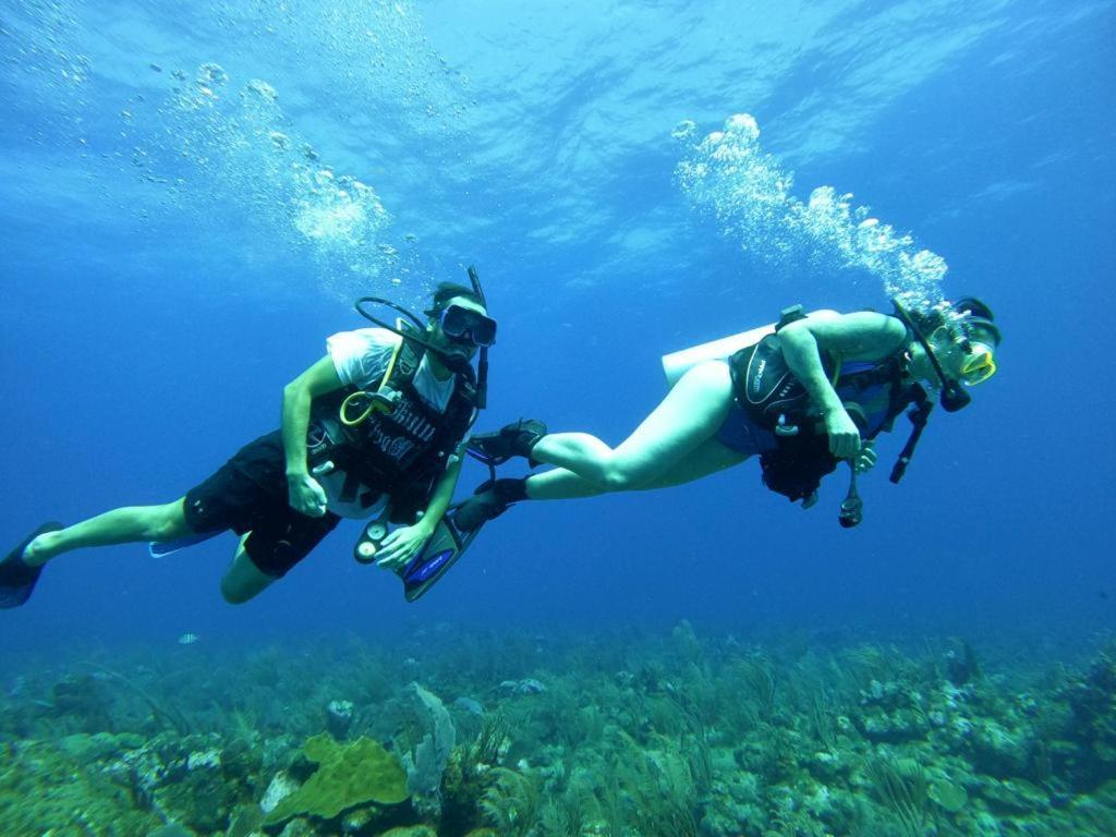 Corona Del Mar سان بيدرو المظهر الخارجي الصورة
