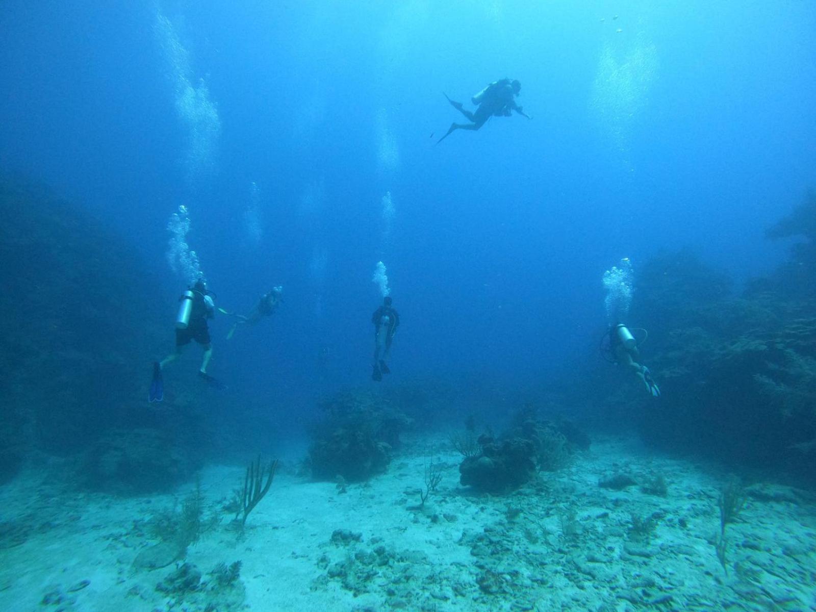Corona Del Mar سان بيدرو المظهر الخارجي الصورة
